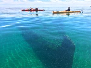 kayaking over a shipwreck