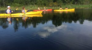 Mink River kayak tour