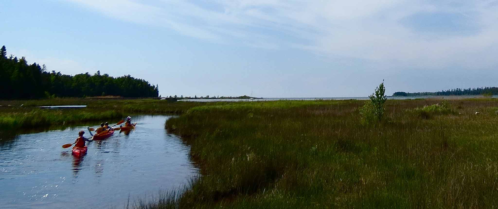 Kayak – Mink River Eco Tour