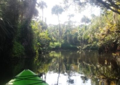 Turkey Creek Sanctuary