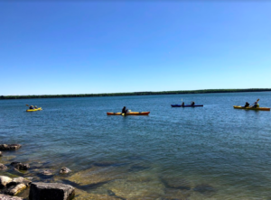 mink river eco tour