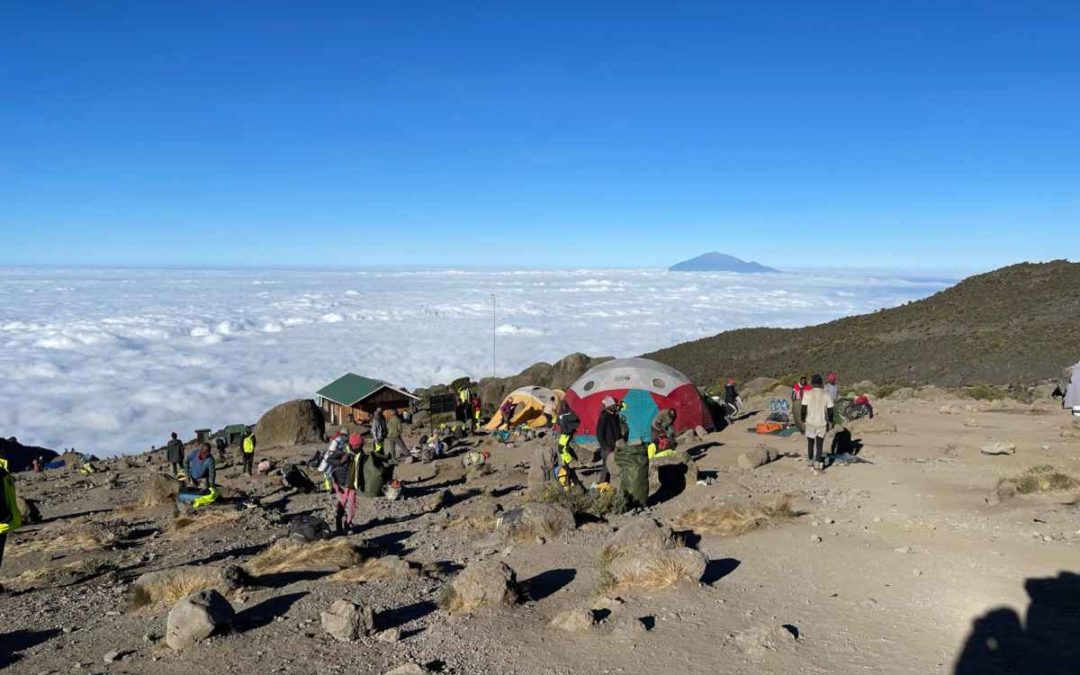 Kilimanjaro Climbing Adventure and Safari