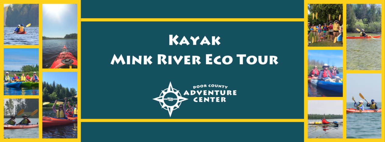 mink river kayak tour